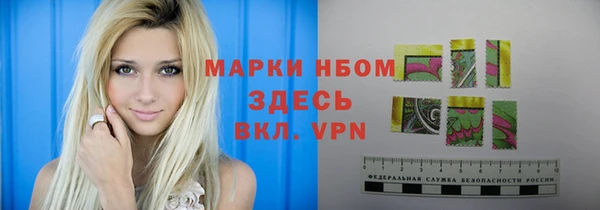 твердый Ельня