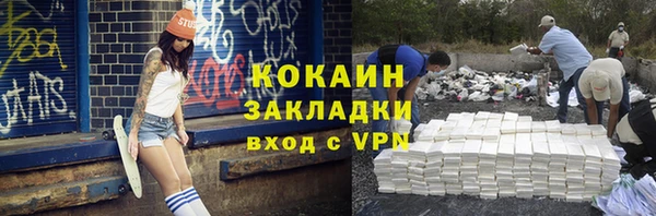 твердый Ельня