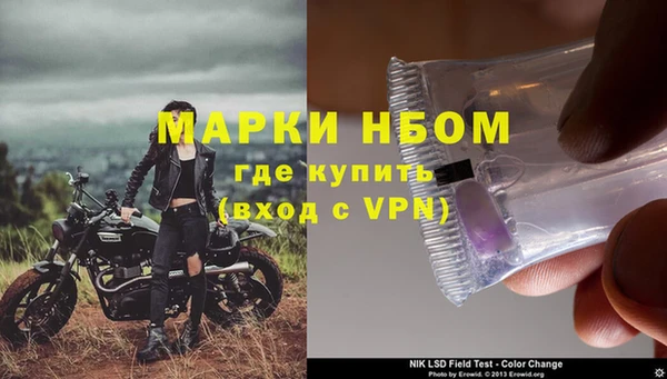 твердый Ельня