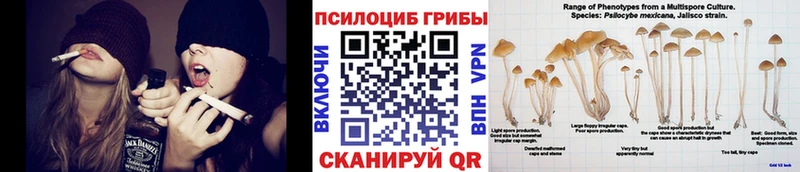 Псилоцибиновые грибы Psilocybine cubensis  Купить закладки  Малаховка 